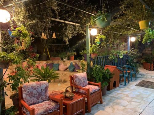 بيت الطبيعة nature house in Jerash بيت الطبيعة nature house in Jerash