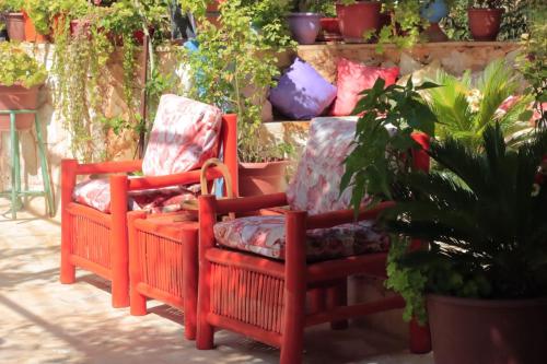 بيت الطبيعة nature house in Jerash بيت الطبيعة nature house in Jerash