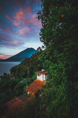 Alrededores, Lush Atitlan in San Marcos La Laguna Alrededores, Lush Atitlan in San Marcos La Laguna