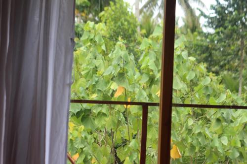 Jungle House - surf & stay in Negara Jungle House - surf & stay in Negara