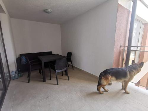 Erkély/terasz, Apartament Perła 22 Jezioro Pluszne (Apartament Perla 22 Jezioro Pluszne) in Mierki Erkély/terasz, Apartament Perła 22 Jezioro Pluszne (Apartament Perla 22 Jezioro Pluszne) in Mierki