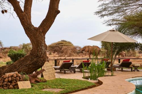 Tawi Lodge in Taman Nasional Amboseli Tawi Lodge in Taman Nasional Amboseli