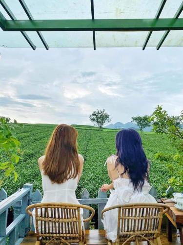 Balcony/terrace, The Meadow in Moc Chau Balcony/terrace, The Meadow in Moc Chau