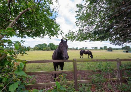 Létesítmények, The Paddocks in Crostwick Létesítmények, The Paddocks in Crostwick