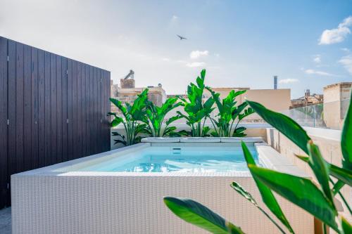 Pool, Townhouse17 Boutique Bed & Breakfast in Gozo Pool, Townhouse17 Boutique Bed & Breakfast in Gozo