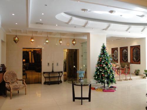 大堂, Shanasheel Palace Hotel in 盧薩發 大堂, Shanasheel Palace Hotel in 盧薩發