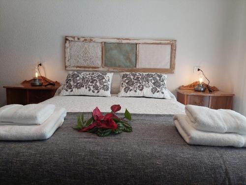 Vendégszoba, CASA DOROTEO in Cardena Vendégszoba, CASA DOROTEO in Cardena