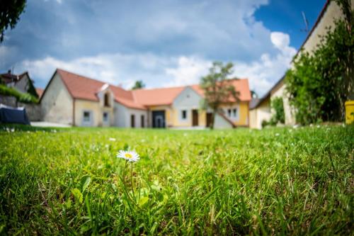 Penzion Nežárka 59 (Penzion Nezarka 59) in Jindrichuv Hradec Penzion Nežárka 59 (Penzion Nezarka 59) in Jindrichuv Hradec