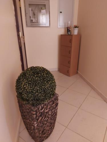 DO ALL BY WALKING DISTANCE IN ALAIN near Al Ain Equestrian, shooting & Golf club DO ALL BY WALKING DISTANCE IN ALAIN near Al Ain Equestrian, shooting & Golf club