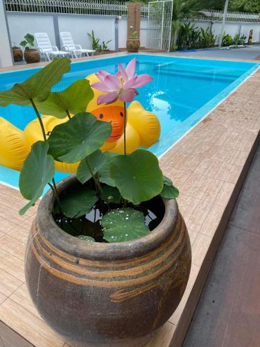 Swimming pool, Hua Hin Pool & Spa Villa 181 in Hin Lek Fai Swimming pool, Hua Hin Pool & Spa Villa 181 in Hin Lek Fai