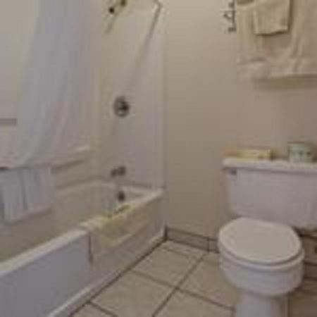 在meiguo.com看到的Pacific Reef Hotel & Light Show的介绍图片