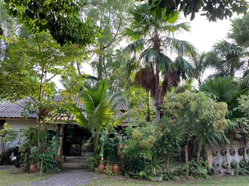 Hành lang, Krua Chehe Resort ครัวเจ๊ะเห รีสอร์ท in Su-ngai Kolok Hành lang, Krua Chehe Resort ครัวเจ๊ะเห รีสอร์ท in Su-ngai Kolok