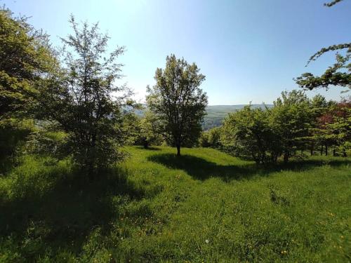 gemutliche Wohnung mit Kamin - Sunny Hill Holiday Home in Echternacherbruck gemutliche Wohnung mit Kamin - Sunny Hill Holiday Home in Echternacherbruck