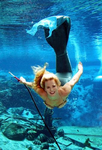 Cozy Cottage River House in Weeki Wachee (FL) Cozy Cottage River House in Weeki Wachee (FL)