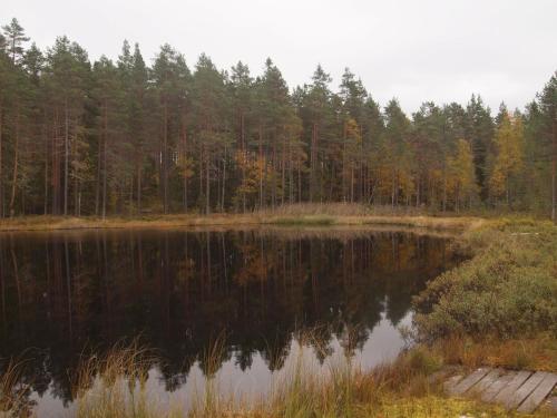 Alrededores, Mieps Huset Dalarna Holiday in Falun Alrededores, Mieps Huset Dalarna Holiday in Falun