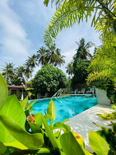 Swimming pool, Nature Villa Unawatuna in Galle Swimming pool, Nature Villa Unawatuna in Galle