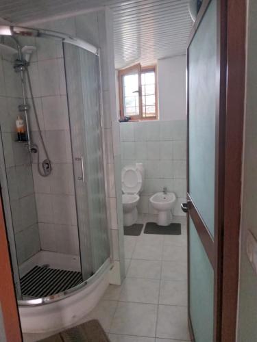 Bathroom, Rooms for Rent in Shkoder Bathroom, Rooms for Rent in Shkoder