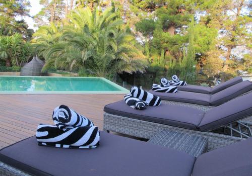 Kolam renang, Jamala Wildlife Lodge in Yarralumla Kolam renang, Jamala Wildlife Lodge in Yarralumla