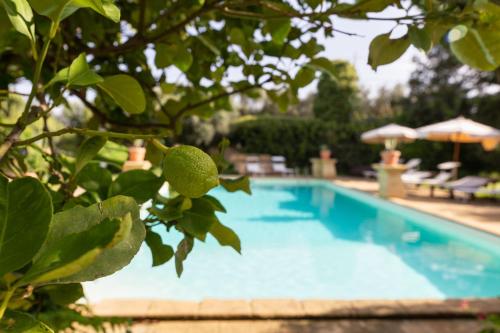Tenuta Donna Vittoria - Piccola in Porticalazzo Tenuta Donna Vittoria - Piccola in Porticalazzo