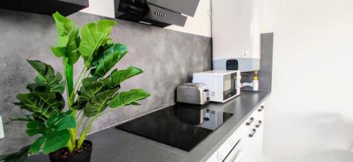 Kitchen, Suites Rive Gauche - DUPLEX Region FONTAINEBLEAU - Chez Marc in Cannes Ecluse Kitchen, Suites Rive Gauche - DUPLEX Region FONTAINEBLEAU - Chez Marc in Cannes Ecluse