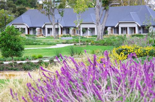 Exterior view, Knysna Hollow Country Estate in Knysna Exterior view, Knysna Hollow Country Estate in Knysna