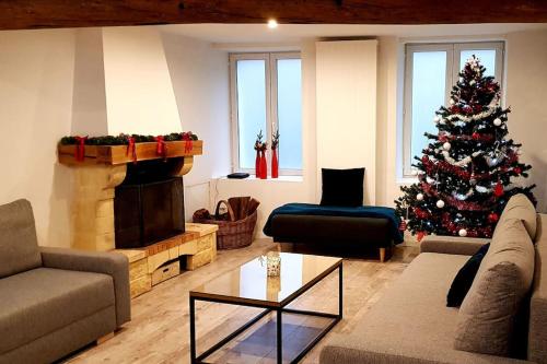 設施, Nalan Johannisien, Maison piscine chauffée-Spa, Paris CDG-Disney (Nalan Johannisien, Maison piscine chauffee-Spa, Paris CDG-Disney) in 勒普萊西呂扎爾舍 設施, Nalan Johannisien, Maison piscine chauffée-Spa, Paris CDG-Disney (Nalan Johannisien, Maison piscine chauffee-Spa, Paris CDG-Disney) in 勒普萊西呂扎爾舍
