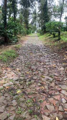 Happy trails coorg in Pollibetta Happy trails coorg in Pollibetta
