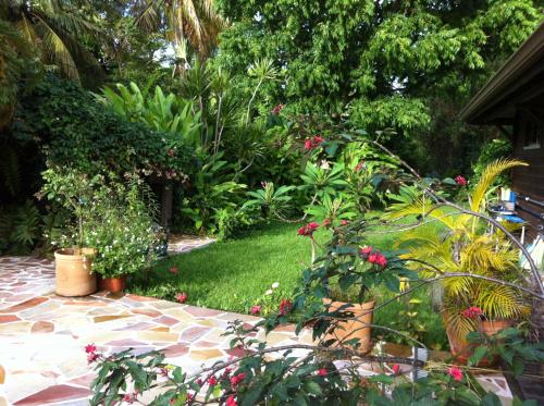 Garden, Caribbean Ashanti Lodge in Trois-Rivieres Garden, Caribbean Ashanti Lodge in Trois-Rivieres