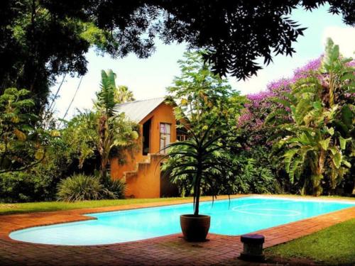 Swimming pool, Malandela's Guest House in Malkerns Swimming pool, Malandela's Guest House in Malkerns
