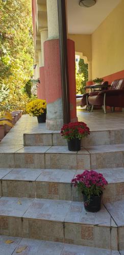 Casa Rosa in Baile Olanesti Casa Rosa in Baile Olanesti