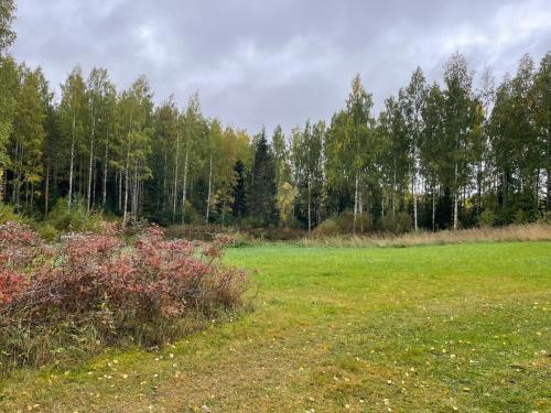 View, Villa Metsatahti in Puhos View, Villa Metsatahti in Puhos