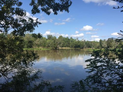 Tentrr State Park Site - Lake Fausse Pointe - Cypress Site B - Single Camp in New Iberia (LA) Tentrr State Park Site - Lake Fausse Pointe - Cypress Site B - Single Camp in New Iberia (LA)