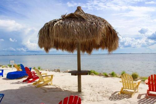 Beach, Sunset Paradise - Find yourself in Tampa in Pelican Island Beach, Sunset Paradise - Find yourself in Tampa in Pelican Island