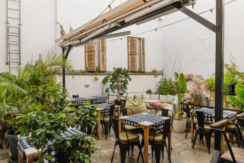 Сад, Djumba Hotel & Cafe in Нікосія Сад, Djumba Hotel & Cafe in Нікосія