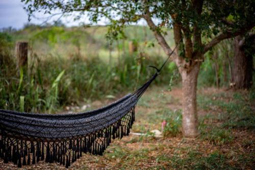 Pitahaya Glamping in Cabo Rojo Pitahaya Glamping in Cabo Rojo