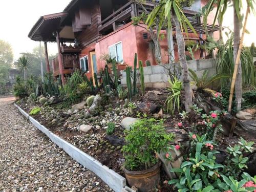 Cactus Home Stay แม่สูน in Mae Sun Cactus Home Stay แม่สูน in Mae Sun