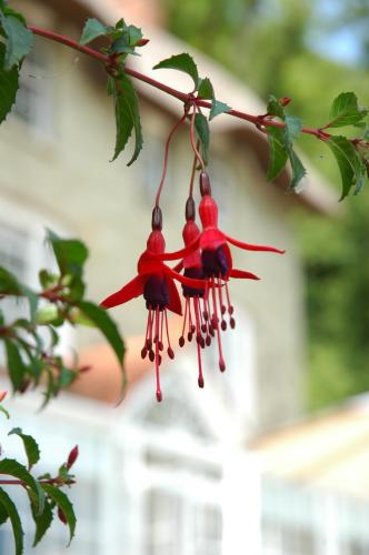 This photo about Hillside Ventnor shared on HyHotel.com