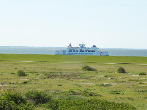 Ferienhaus Rosenboom Rosenboom 01 in Norderney Ferienhaus Rosenboom Rosenboom 01 in Norderney