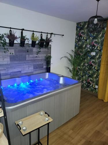 Vruća kupka, Cosy Corner - Appartement spa - Jacuzzi in Marsannay-la-Cote Vruća kupka, Cosy Corner - Appartement spa - Jacuzzi in Marsannay-la-Cote