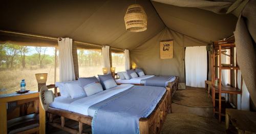 Zawadi Camp in Serengeti Zawadi Camp in Serengeti