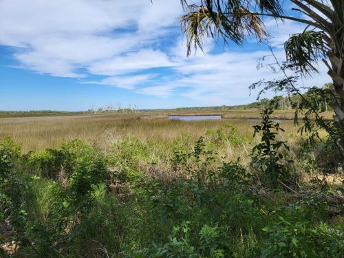 Serendipity By The Sea in Weeki Wachee (FL) Serendipity By The Sea in Weeki Wachee (FL)