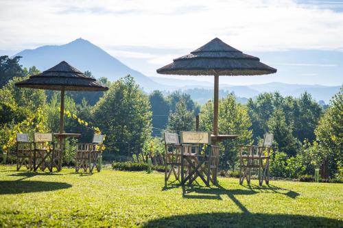 Quinta da Chouza Agroturismo e Enoturismo in เซโลริโก เด บาสโต Quinta da Chouza Agroturismo e Enoturismo in เซโลริโก เด บาสโต