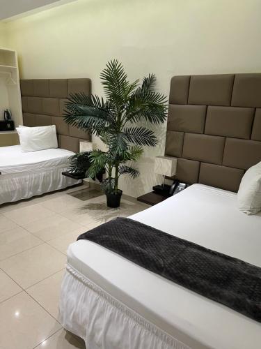 Starz hotel in Charlotte Amalie West Starz hotel in Charlotte Amalie West