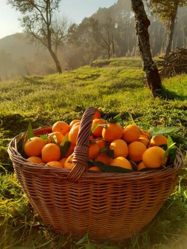 สภาพแวดล้อมโดยรอบ, A CASA COM 2 PEREIRAS in วีลาร์ สภาพแวดล้อมโดยรอบ, A CASA COM 2 PEREIRAS in วีลาร์