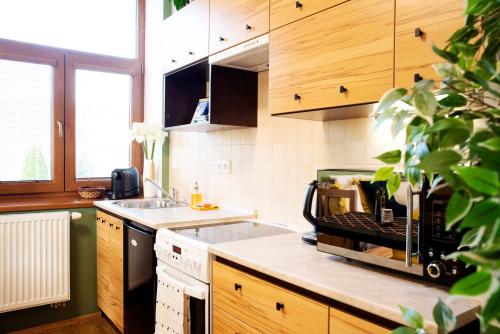 ห้องครัว, Apartmán u Horynů - Sadová (Apartman u Horynu - Sadova) in เมสโต ห้องครัว, Apartmán u Horynů - Sadová (Apartman u Horynu - Sadova) in เมสโต