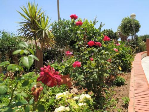 Mercedes Torremolinos Central 2 Bedroom, Sea Views