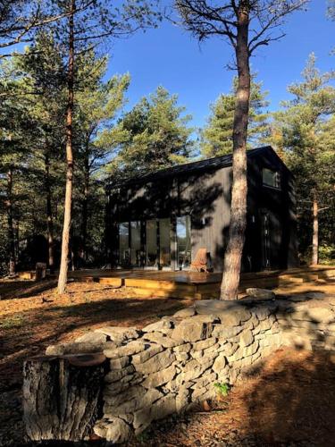 المنطقة المحيطة, Forest House, Tiidu in Saaremaa المنطقة المحيطة, Forest House, Tiidu in Saaremaa