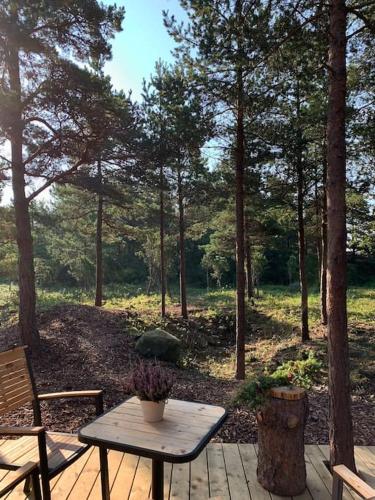 المرافق, Forest House, Tiidu in Saaremaa المرافق, Forest House, Tiidu in Saaremaa