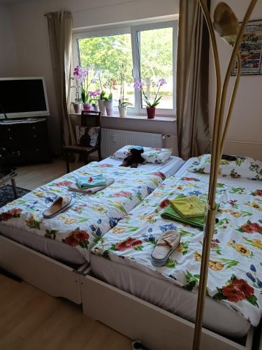 Schones Privatzimmer LGBTQ freundlich in Wedding Schones Privatzimmer LGBTQ freundlich in Wedding