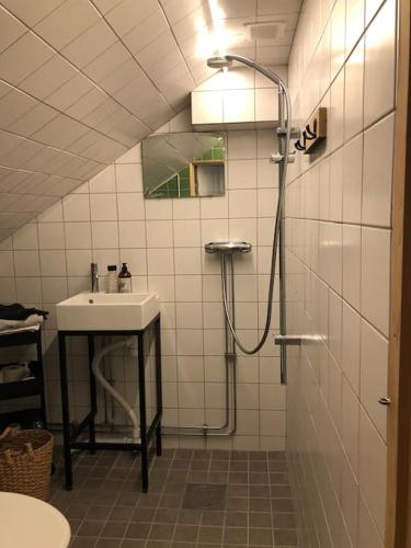 Mysigt men trangt vindsrum i Svinaberga! in Simrishamn Mysigt men trangt vindsrum i Svinaberga! in Simrishamn